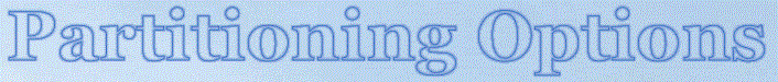 Partitioning/Backup Options